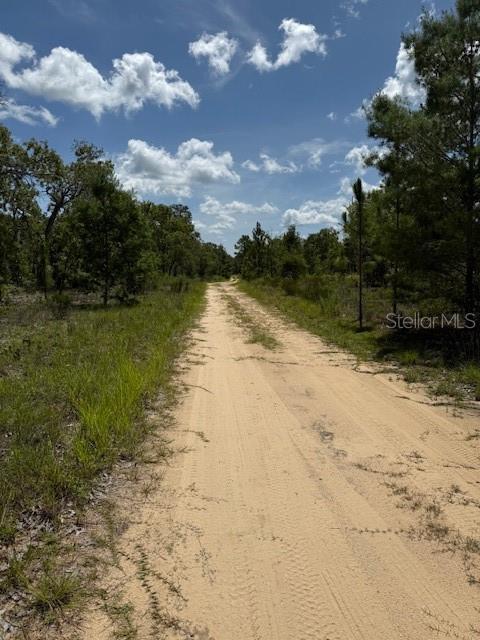115 S Dakota St, Hawthorne, FL 32640 - photo 5
