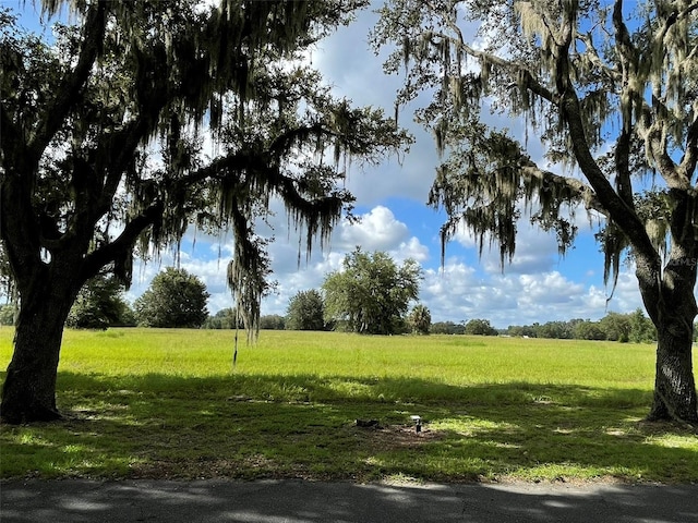 TBD SE 116th Place Rd, Ocala, FL 34480 - photo 2
