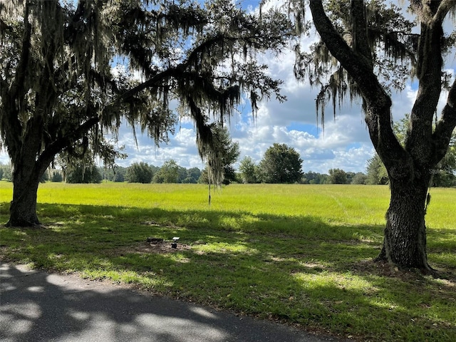 TBD SE 116th Place Rd, Ocala, FL 34480 - photo 4