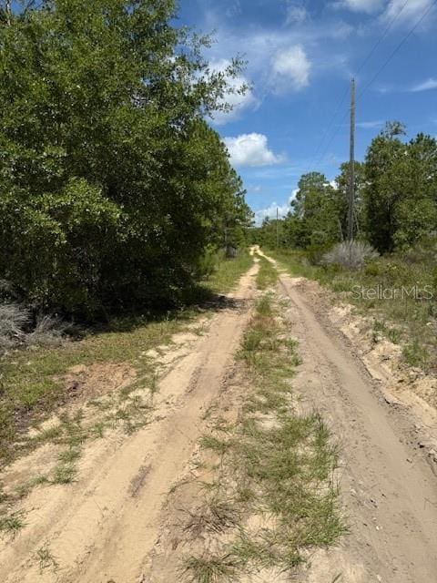 113 S Dakota St, Hawthorne, FL 32640 - photo 3