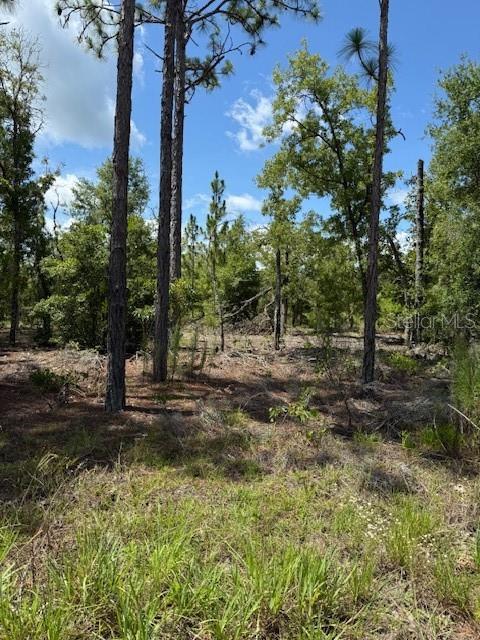 111 S Dakota St, Hawthorne, FL 32640 - photo 3