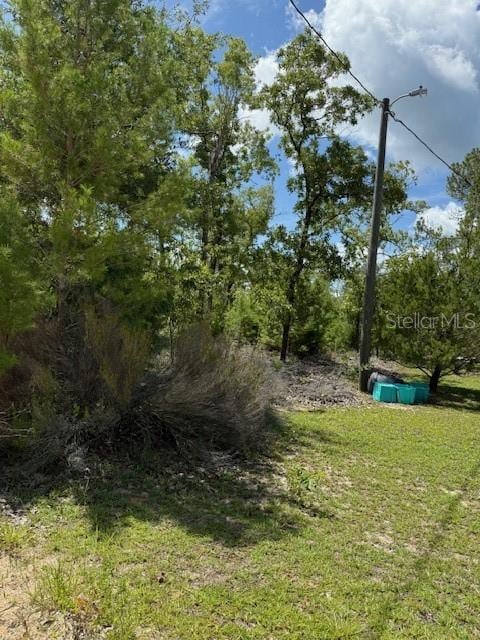 111 S Dakota St, Hawthorne, FL 32640 - photo 4