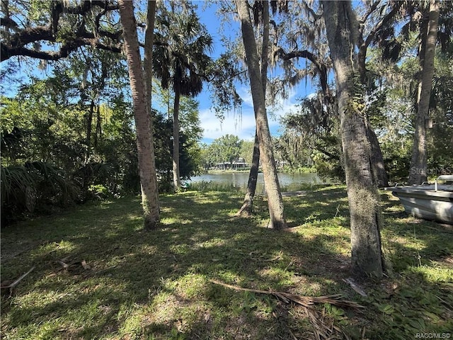 11236 N Rain Pt, Inglis, FL 34449 - photo 9