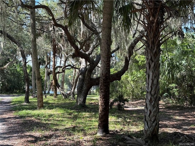 11236 N Rain Pt, Inglis, FL 34449 - photo 10