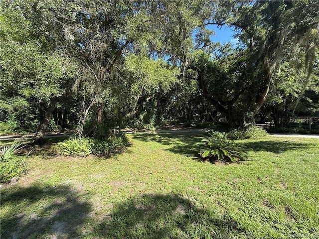 11236 N Rain Pt, Inglis, FL 34449 - photo 17