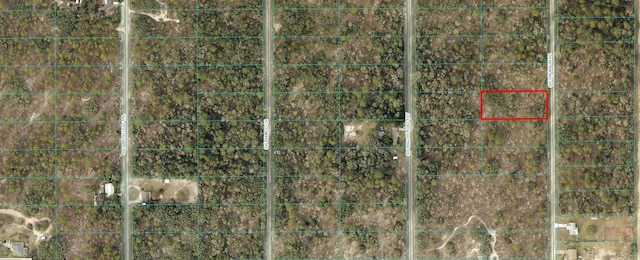 0 SW Viburnum Rd, Dunnellon, FL 34431 - photo 1