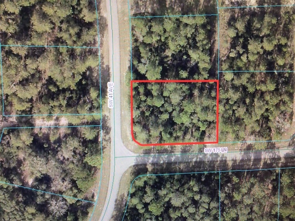 0 SW 41st Ave, Ocala, FL 34473 - photo 3