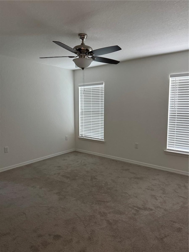 4 Sequoia Drive Ct, Ocklawaha, FL 32179 - photo 6