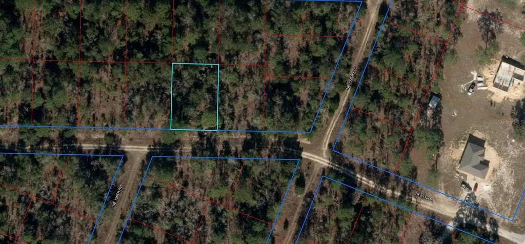 TBD NE 11th Pl, Williston, FL 32696 - photo 1