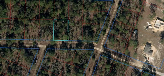TBD NE 11th Pl, Williston, FL 32696 - photo 1