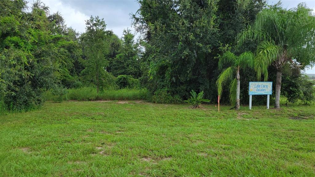 6641 Wynn Ln, Groveland, FL 34736 - photo 1