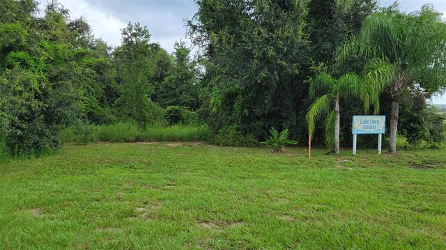 6641 Wynn Ln, Groveland FL, 34736 land for sale