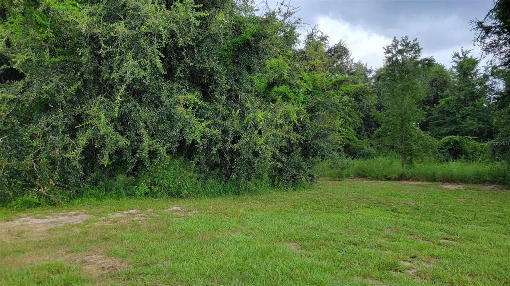 6641 Wynn Ln, Groveland, FL 34736 - photo 2