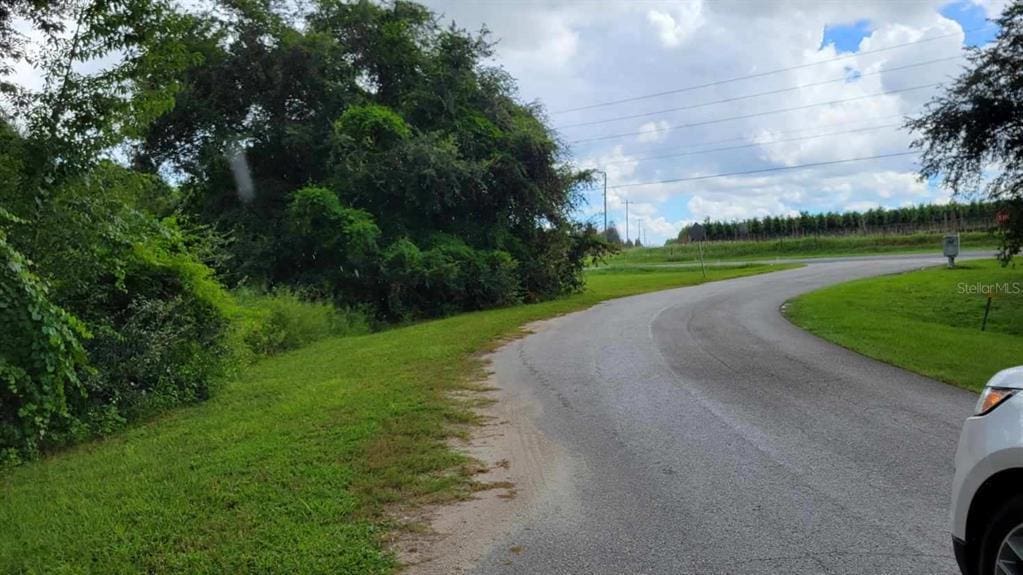 6641 Wynn Ln, Groveland, FL 34736 - photo 3