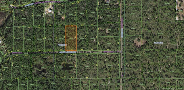 Listing photo 3 for LOT29 S Shore Dr, Lake Wales FL 33898