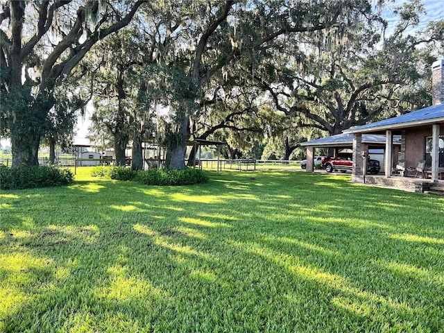 view of yard featuring a carport