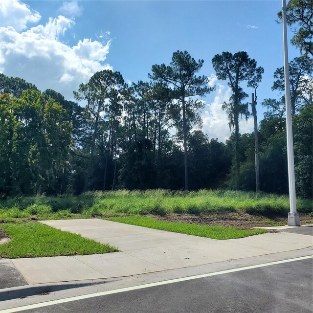 Pollard Rd, Winter Haven, FL 33884 - photo 4
