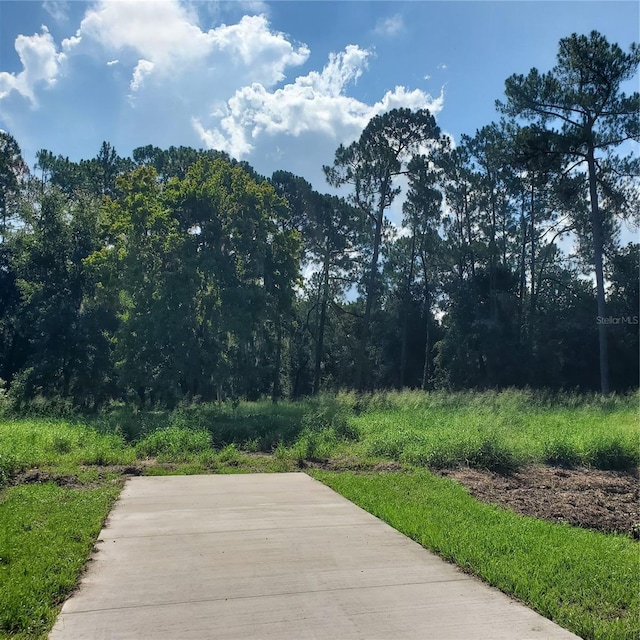 Pollard Rd, Winter Haven, FL 33884 - photo 5