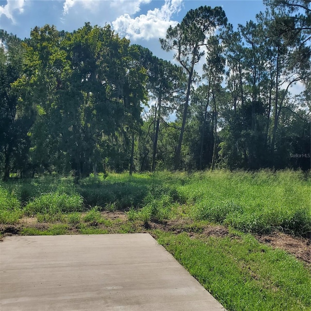 Pollard Rd, Winter Haven, FL 33884 - photo 6