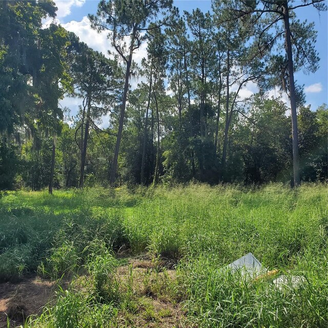Pollard Rd, Winter Haven, FL 33884 - photo 8