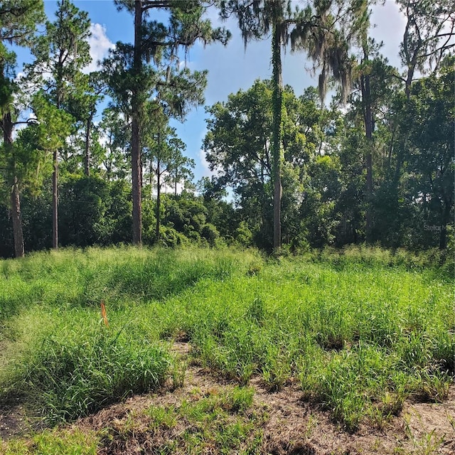 Pollard Rd, Winter Haven, FL 33884 - photo 10