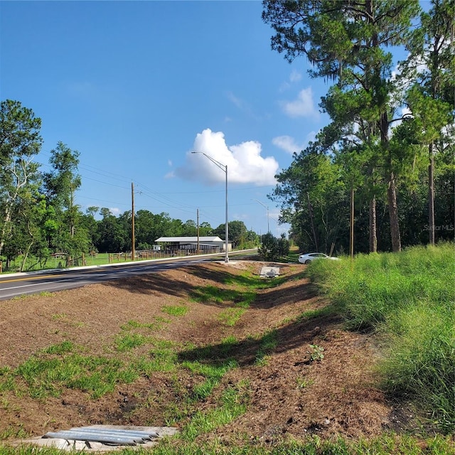 Pollard Rd, Winter Haven, FL 33884 - photo 11