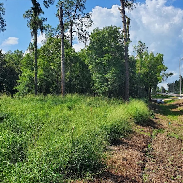 Pollard Rd, Winter Haven, FL 33884 - photo 16