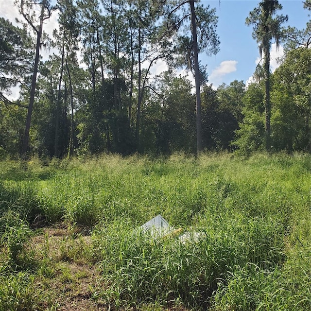 Pollard Rd, Winter Haven, FL 33884 - photo 17