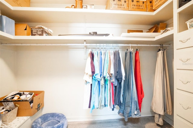 view of spacious closet