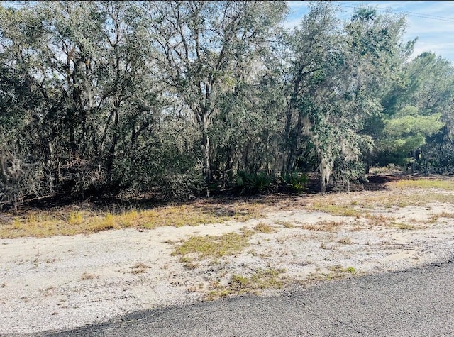 Listing photo 3 for Deer Rd, Frostproof FL 33843