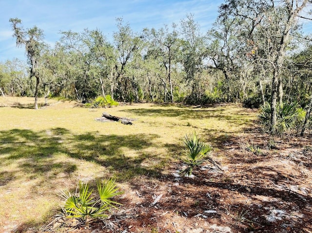 Listing photo 2 for Deer Rd, Frostproof FL 33843