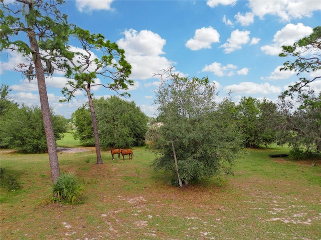 State Road 60 E, Lake Wales, FL 33898 - photo 13