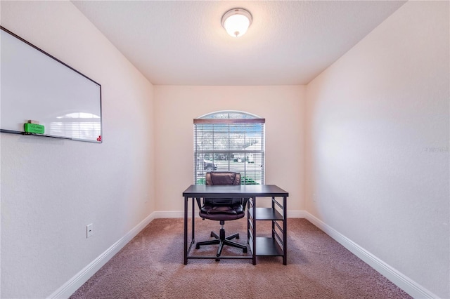 office area featuring baseboards and carpet floors