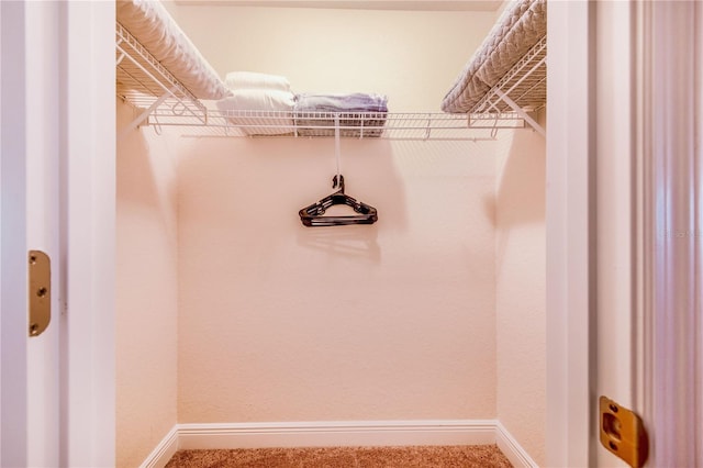 spacious closet featuring carpet flooring