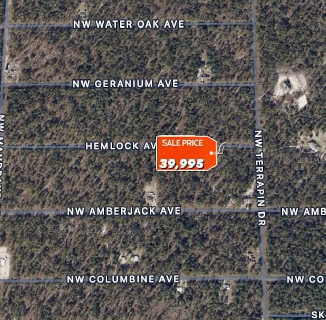 Listing photo 2 for LOT13 NW Hemlock Ave, Dunnellon FL 34432