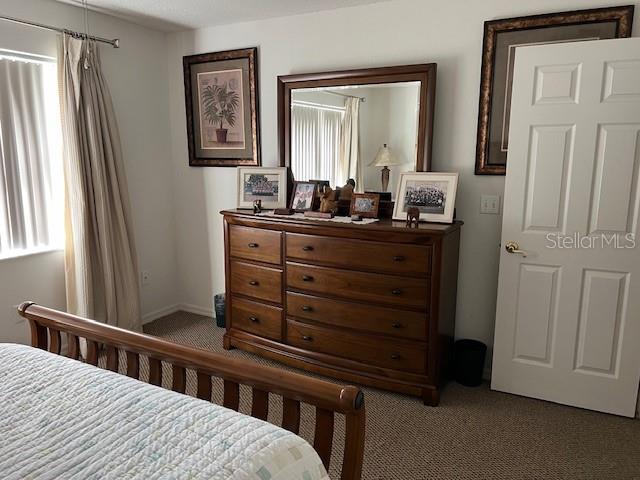 bedroom featuring carpet flooring and multiple windows