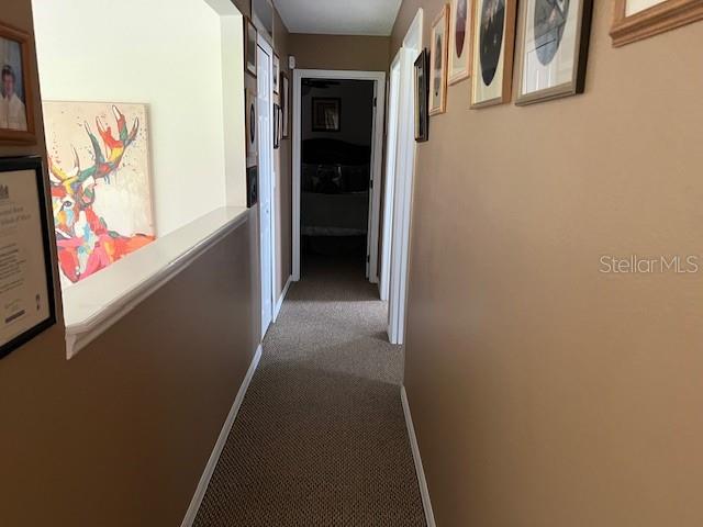 hallway featuring carpet floors