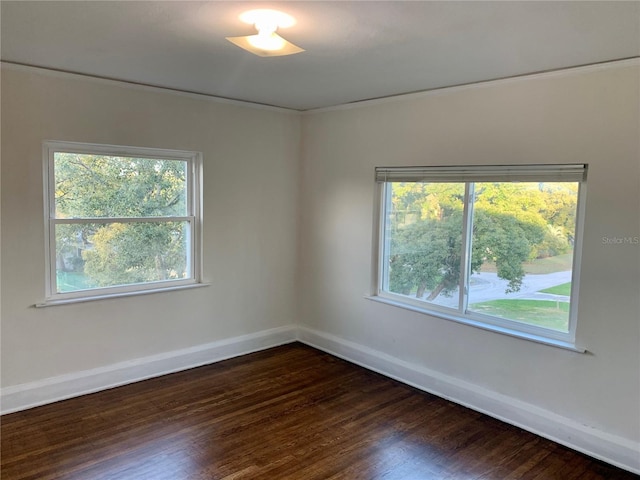 empty room featuring plenty of natural light and dark hardwood / wood-style flooring