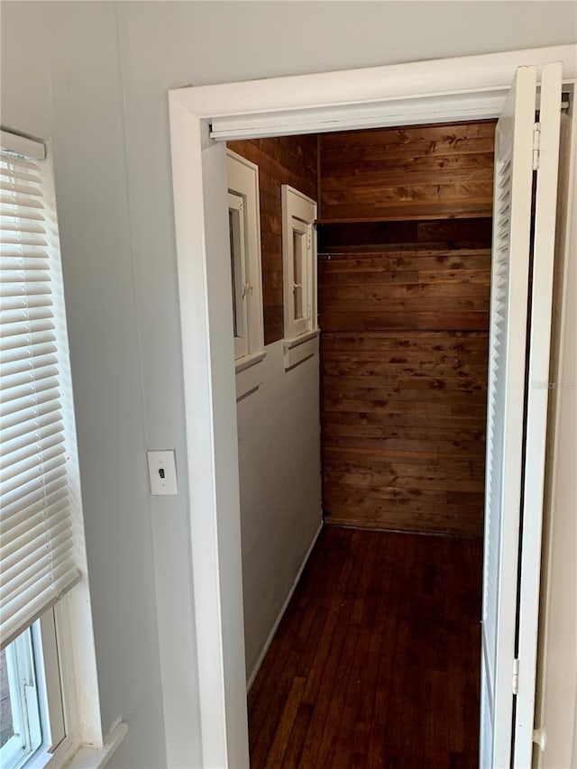 hall with wood walls and dark hardwood / wood-style floors