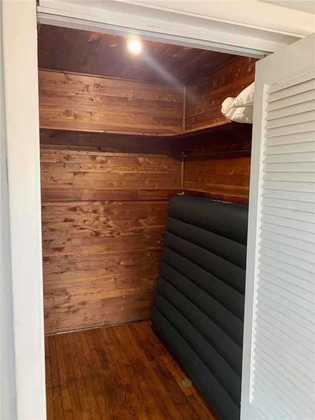 interior space featuring dark wood-type flooring