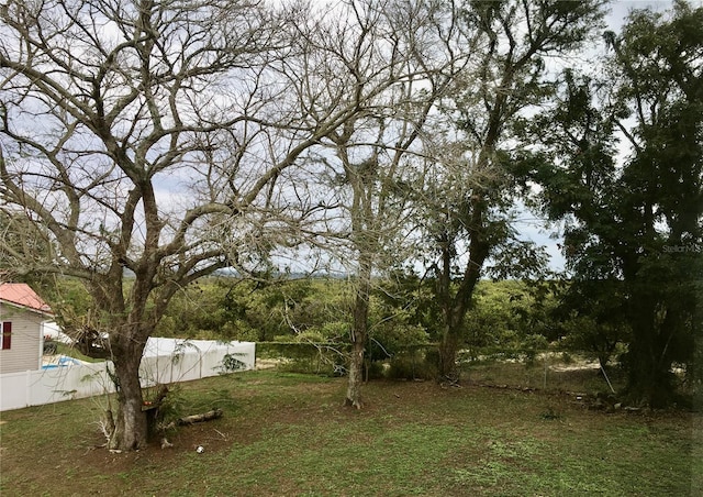 34 Pine Rd, Babson Park, FL 33827 - view of yard with fence