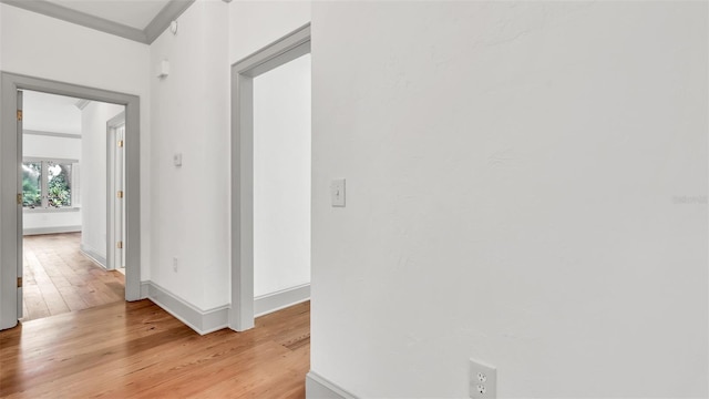 2300 N Scenic Hwy Unit 111, Lake Wales, FL 33898 - empty room with light wood-type flooring and crown molding
