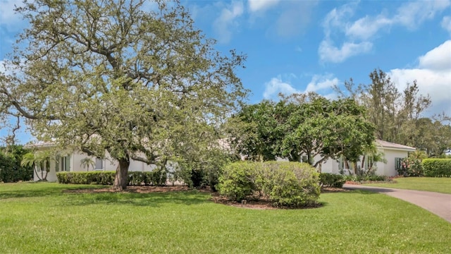 2300 N Scenic Hwy Unit 111, Lake Wales, FL 33898 - view of front of property featuring a front lawn