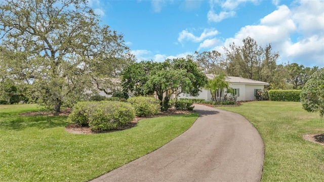 2300 N Scenic Hwy Unit 111, Lake Wales, FL 33898 - view of front of property with a front lawn, asphalt driveway, and stucco siding