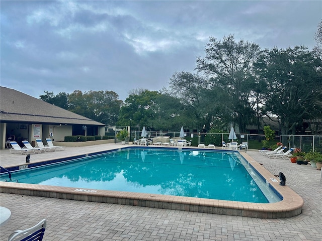 view of pool with a patio area