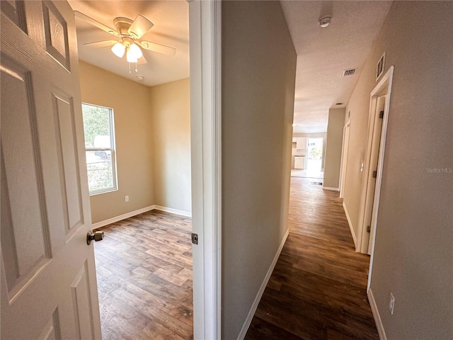 hall featuring dark wood-type flooring