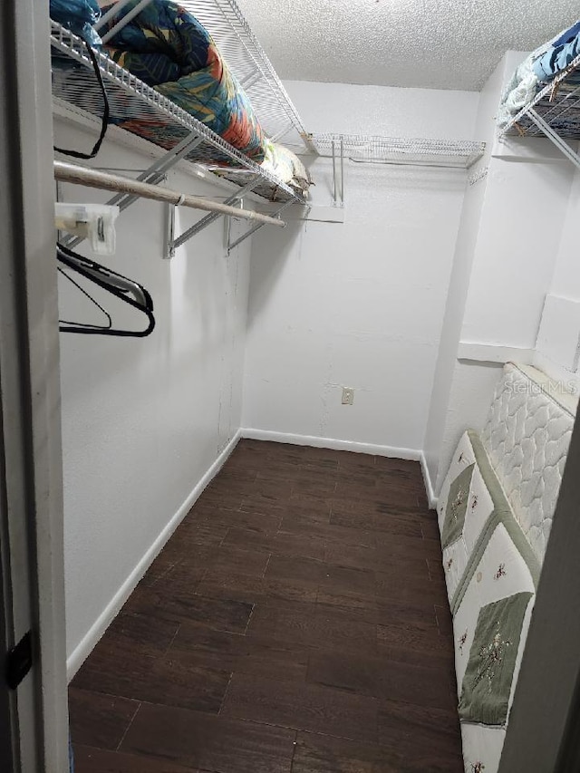 spacious closet featuring hardwood / wood-style flooring