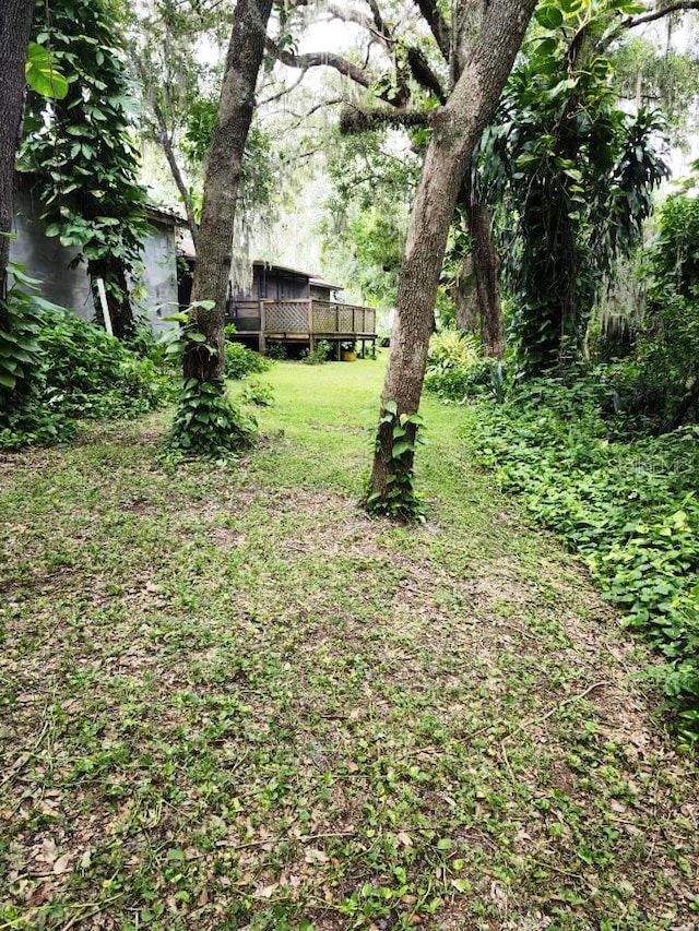 view of yard featuring a deck