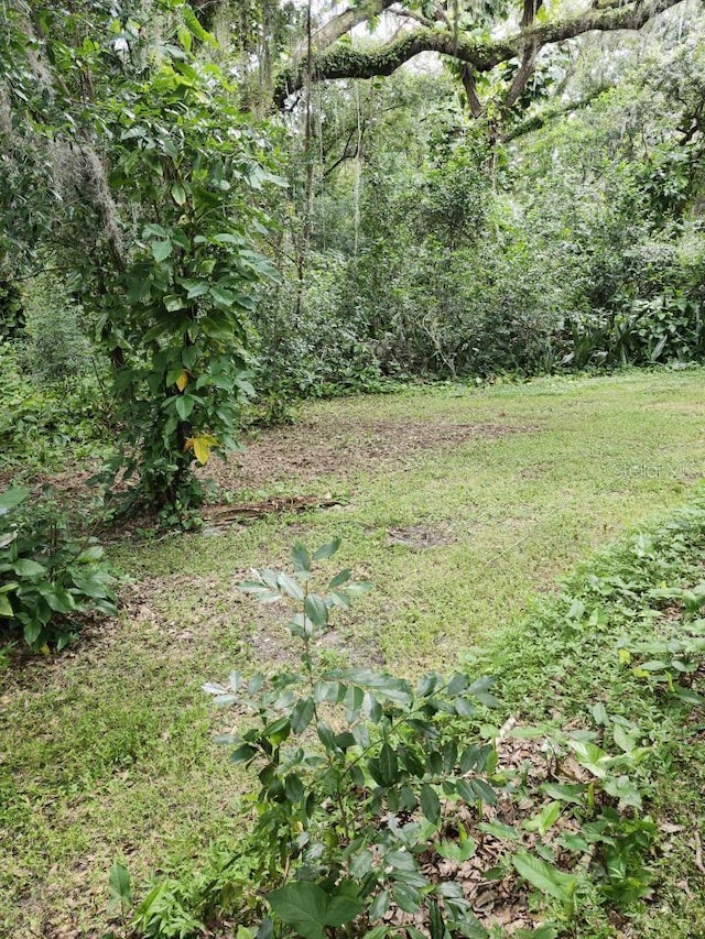 view of yard featuring a view of trees