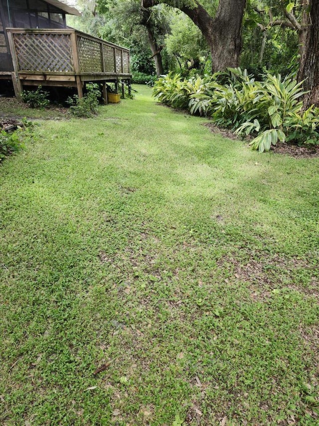 view of yard featuring a wooden deck